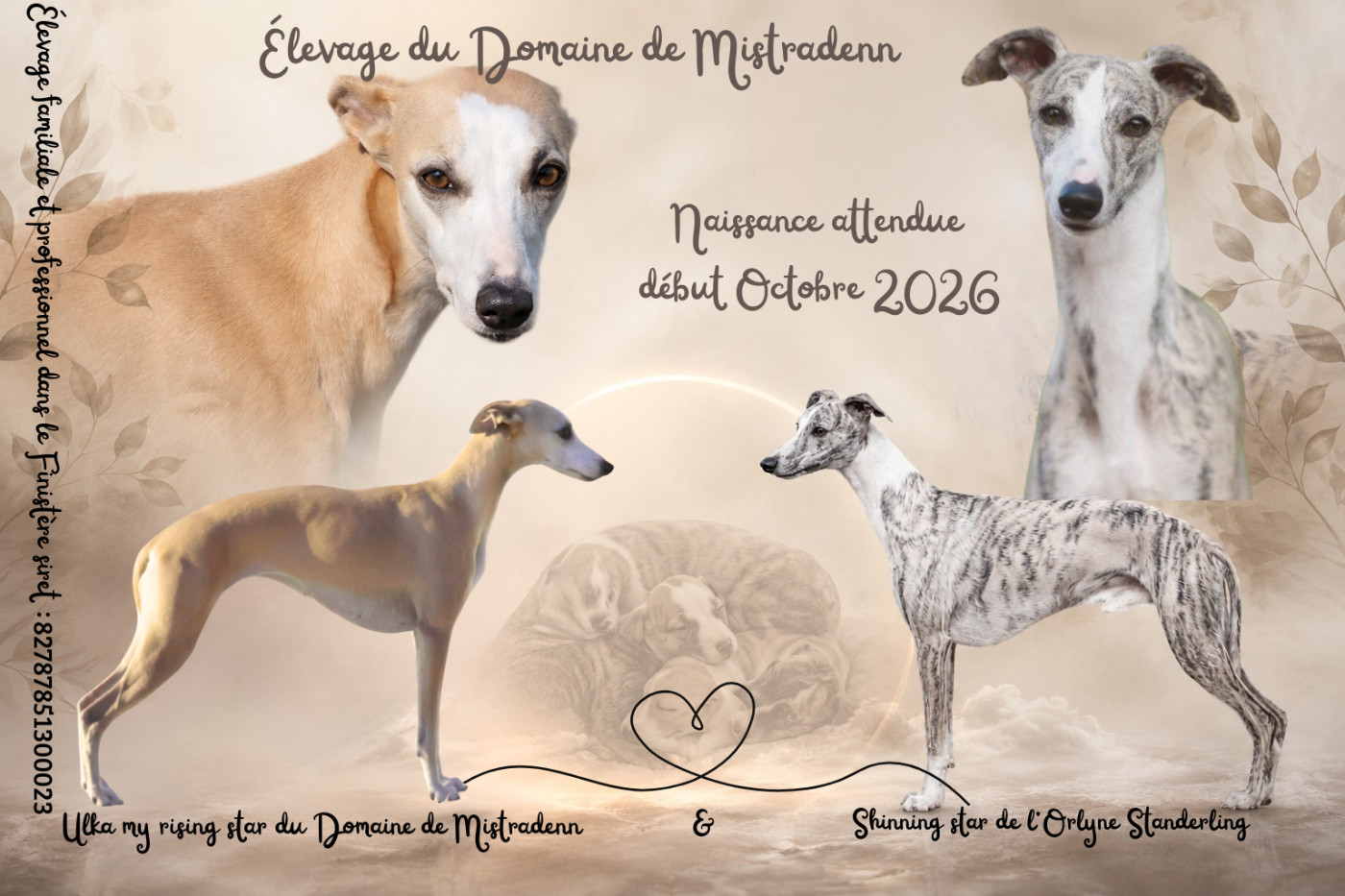 Portée 2026